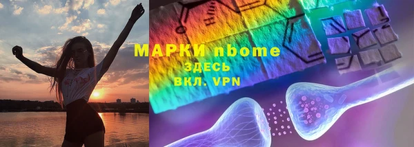твердый Арсеньев