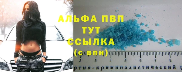 твердый Арсеньев