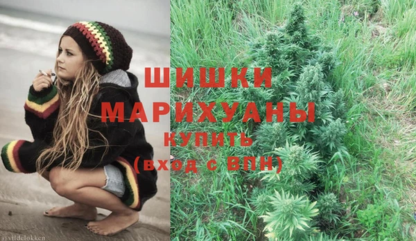 стаф Осинники