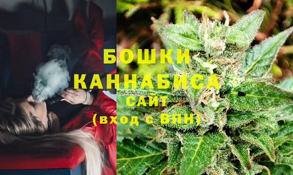 MESCALINE Аркадак