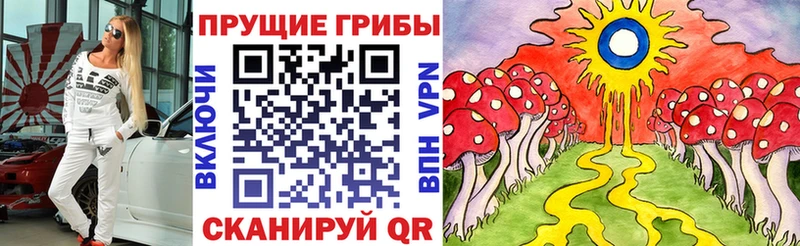 Псилоцибиновые грибы MAGIC MUSHROOMS  Петровск-Забайкальский 